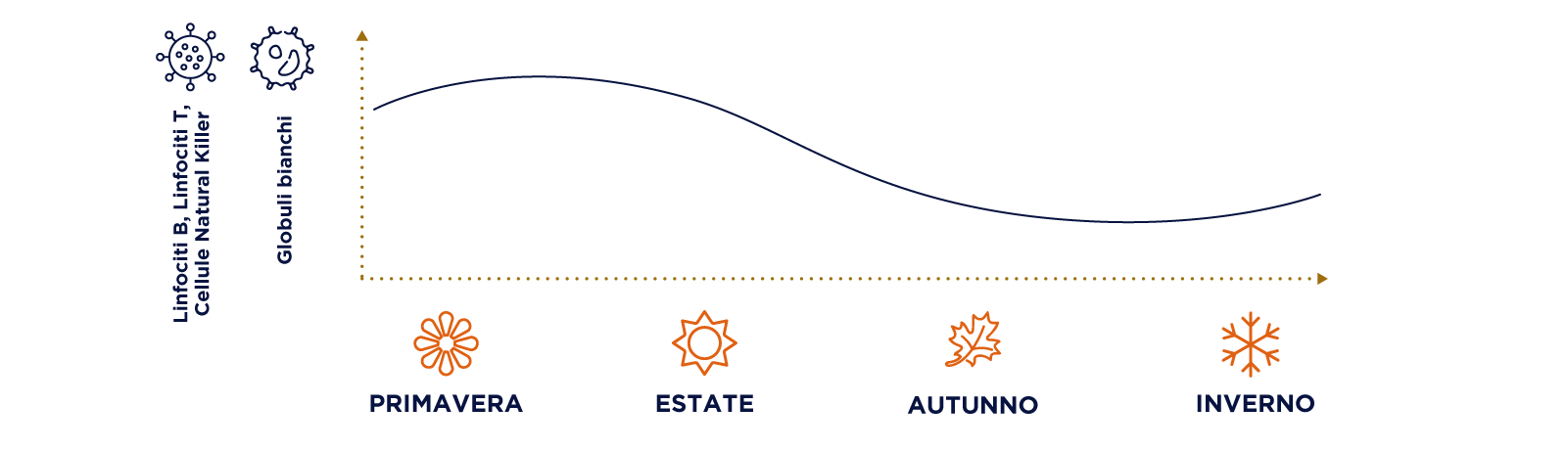 stagioni e sistema immunitario